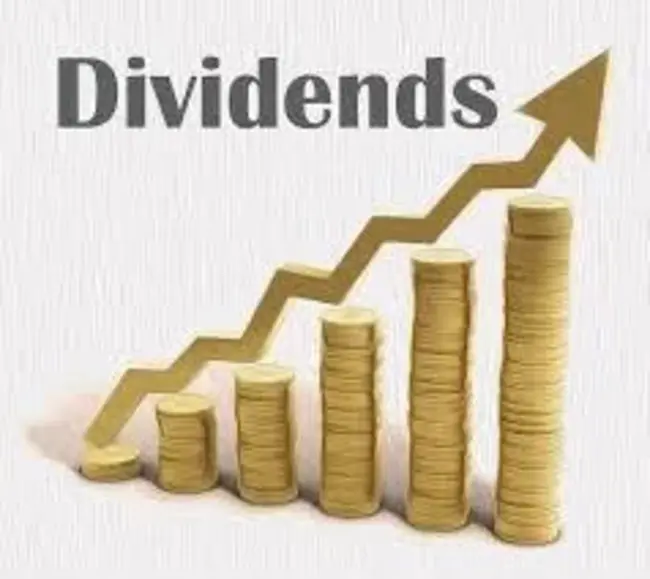 Qualified Dividend Income : 合格股息收入