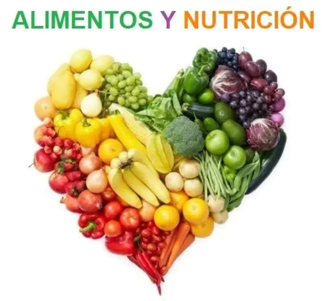 COnsultoría Regional en SAlud y NUtrición : 健康和营养素区域顾问