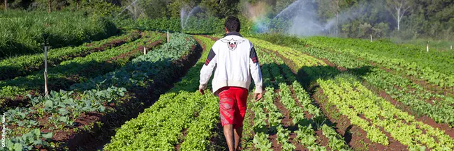 Unión Nacional de AGRicultOres (National Union of Agriculture Workers) : 全国农业工人联合会（全国农业工人联合会）