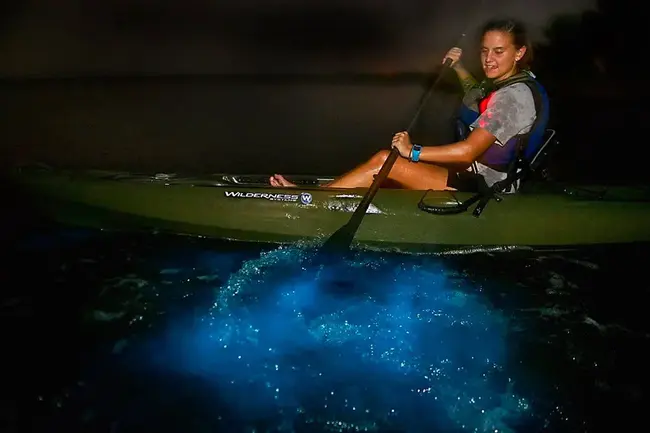 Florida Professional Paddlesport Association : 佛罗里达职业划桨运动协会