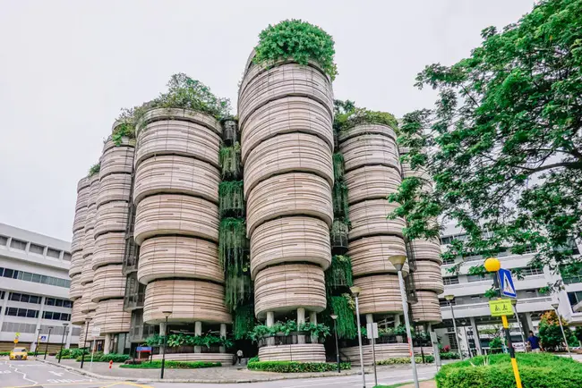 NUS (National University of Singapore) Business School : 新加坡国立大学商学院