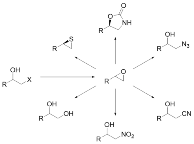 HaloAcid Dehalogenase : 卤酸脱卤酶