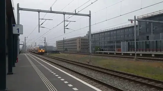 Dutch Rail Zone 08, Railway Service, Netherlands : 荷兰铁路08区，铁路服务，荷兰