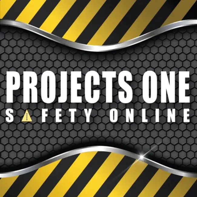 Project Safety Review : 项目安全审查