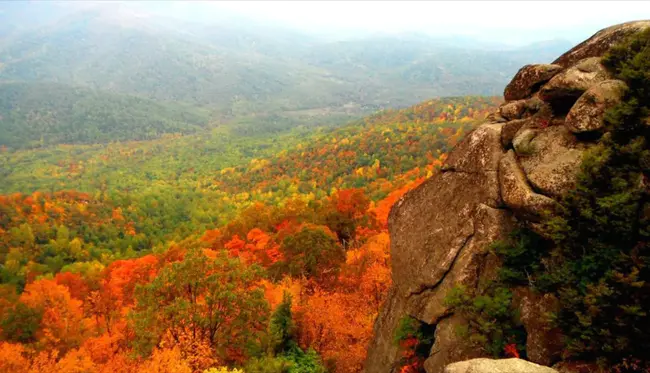 Luray, VA : 和卢雷