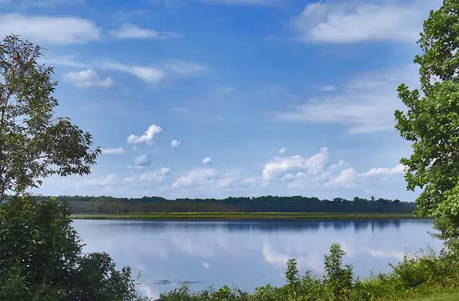 Mattaponi, VA : 弗吉尼亚州马特波尼