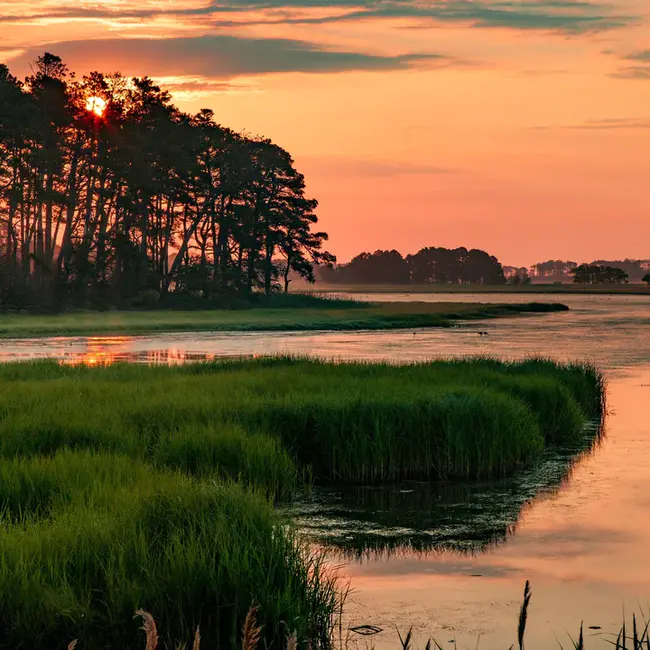 Chincoteague Island, VA : 弗吉尼亚州钦科蒂格岛