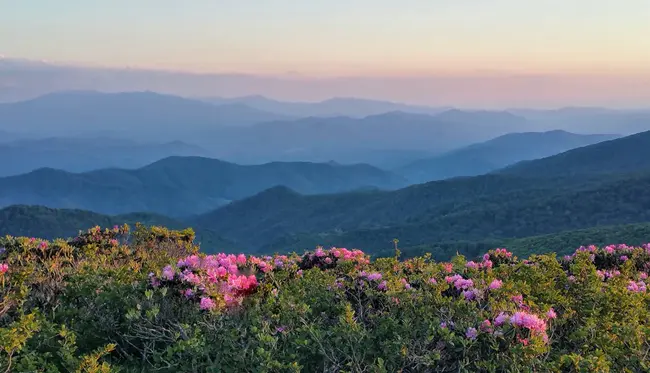 Barnardsville, NC : 北卡罗来纳州巴纳德斯维尔