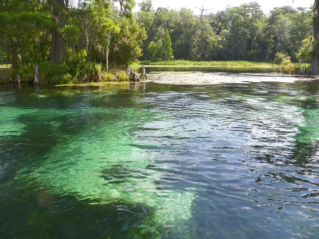 Wakulla Springs, FL : 佛罗里达州瓦库拉泉