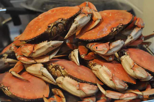 Crab Orchard, TN : 田纳西州螃蟹园