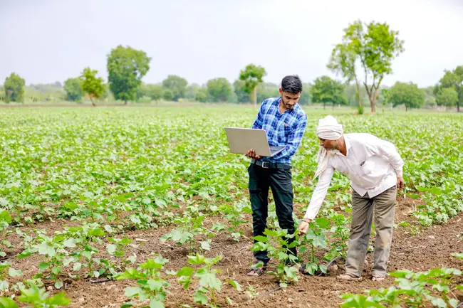 Farmers, KY : KY农民