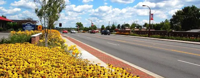 Reynoldsburg, OH : 雷诺兹堡，哦