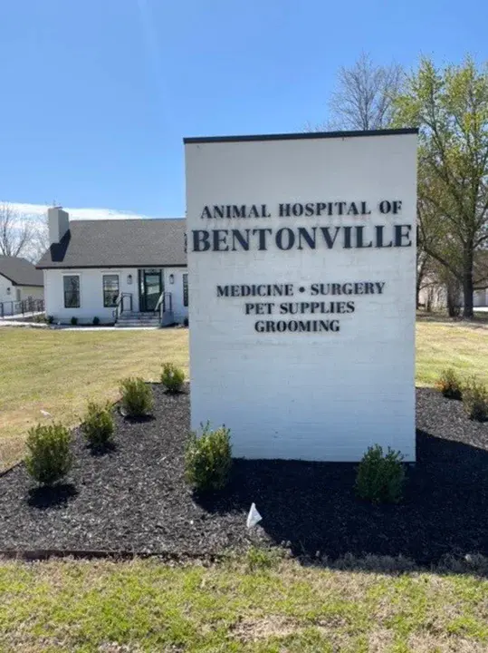 Bentonville, IN : 本顿维尔