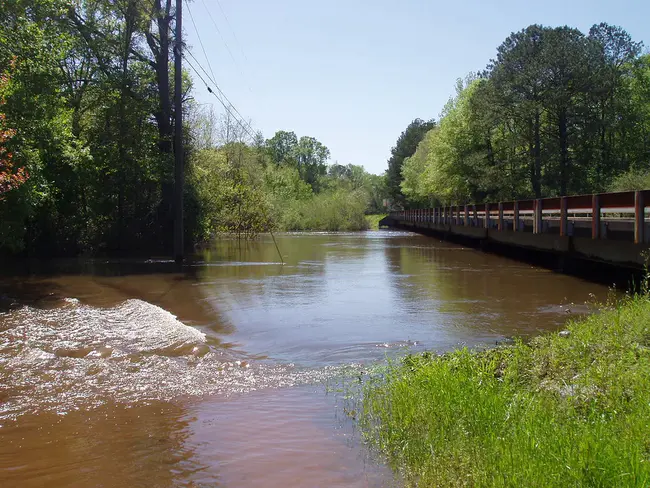 Tangipahoa, LA : LA坦吉帕霍阿