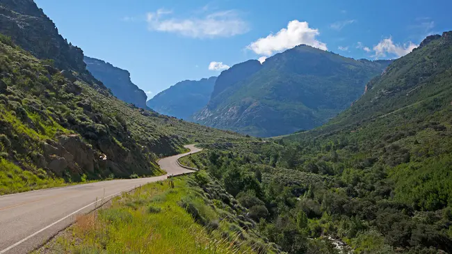 Lamoille, NV : 对于美洲驼