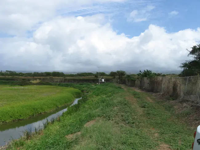 Waipahu, HI : 怀帕胡，你好