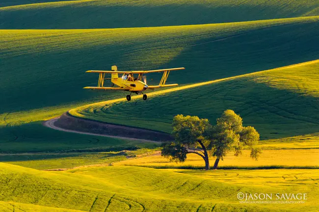 Palouse, WA : 瓦城帕卢斯