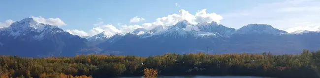 Wasilla, AK : 瓦西拉