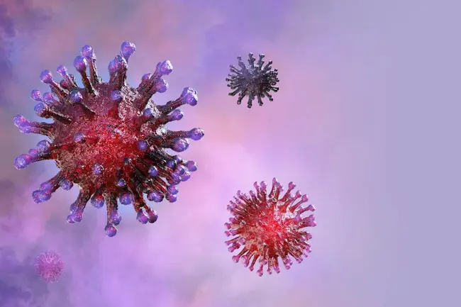 Virus-Induced Interferon : 病毒诱导干扰素