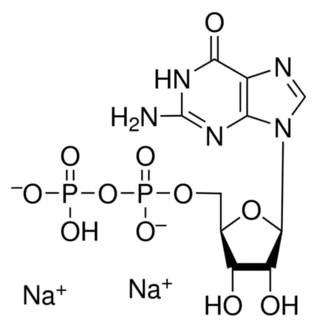 Guanosine Diphosphate : 鸟苷二磷酸