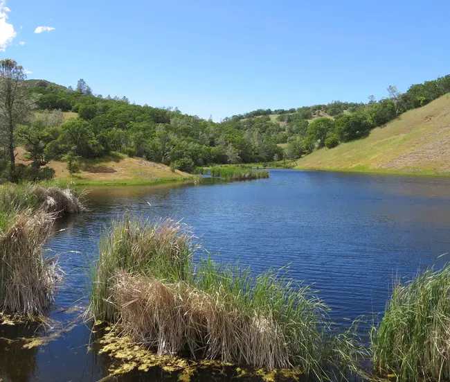 Santa Clara River Reserve : 圣克拉拉河保护区