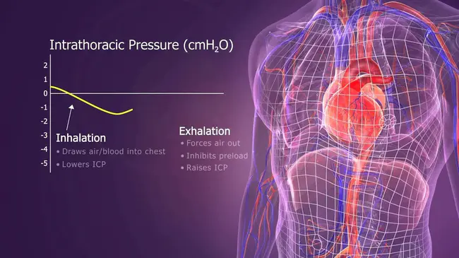 Intrathoracic Gas Volume : 胸内气量