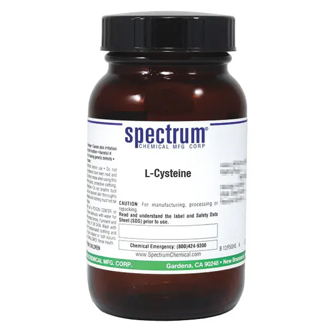 Cysteine Sulfinic Acid Decarboxylase : 半胱氨酸-亚磺酸脱羧酶