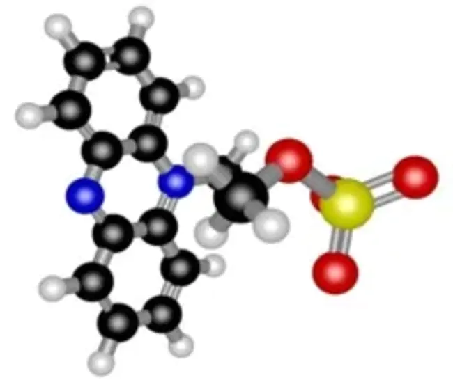 Phenazine PYOcyanin : 吩嗪类绿脓苷