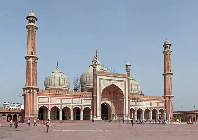 Delhi University : 德里大学