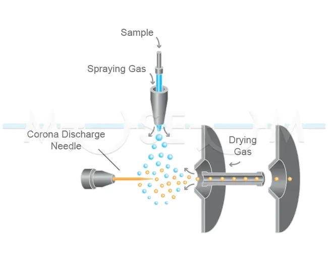 Atmospheric Pressure Photo-Ionization : 大气压光电离