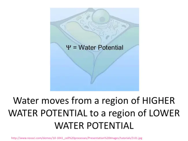 Advanced Oxidation Processes : 高级氧化工艺