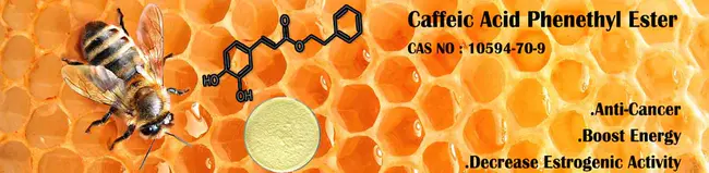 Caffeic Acid PhenethylEster : 咖啡酸苯乙酯