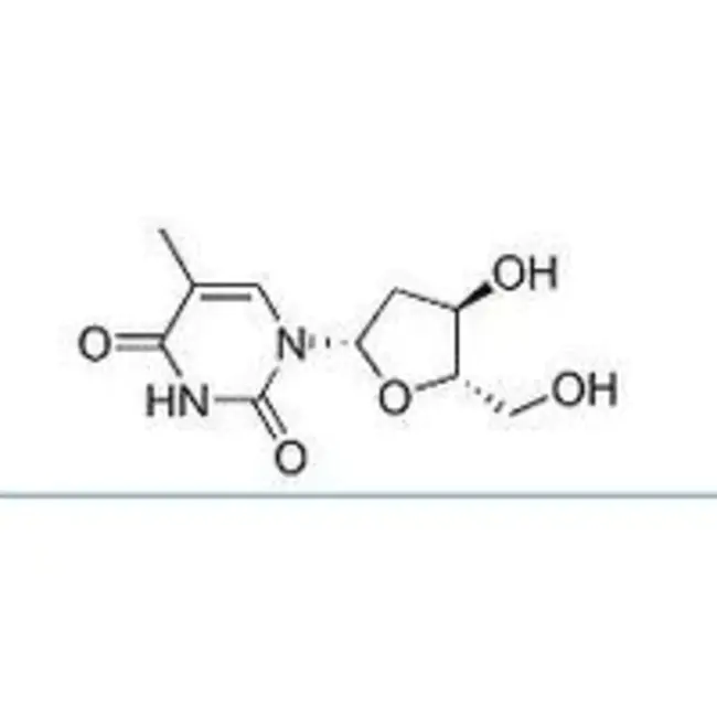 Deoxy-Thymidine MonoPhosphate : 脱氧胸苷一磷酸