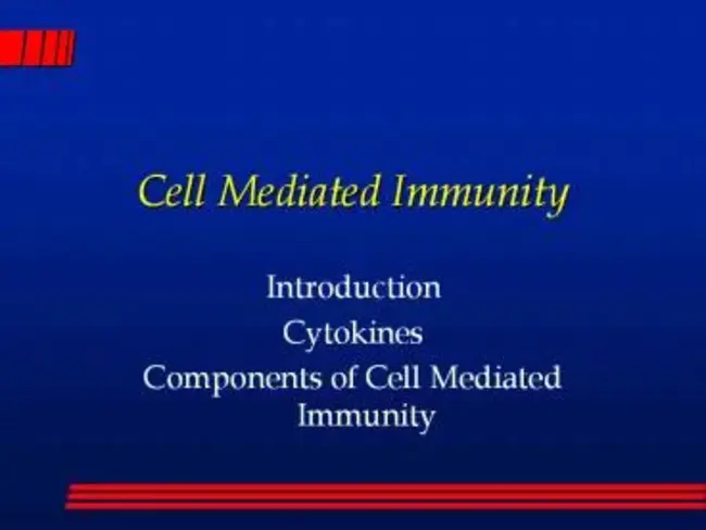 Cell Mediated Immunity : 细胞介导免疫