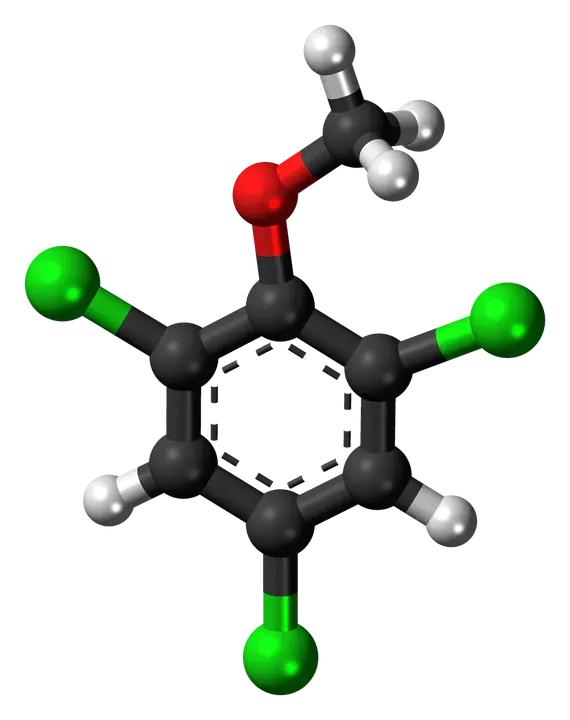 HeteroCyclic Amine : 杂环胺