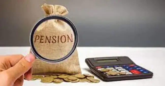 Pension Adjustment : 养老金调整