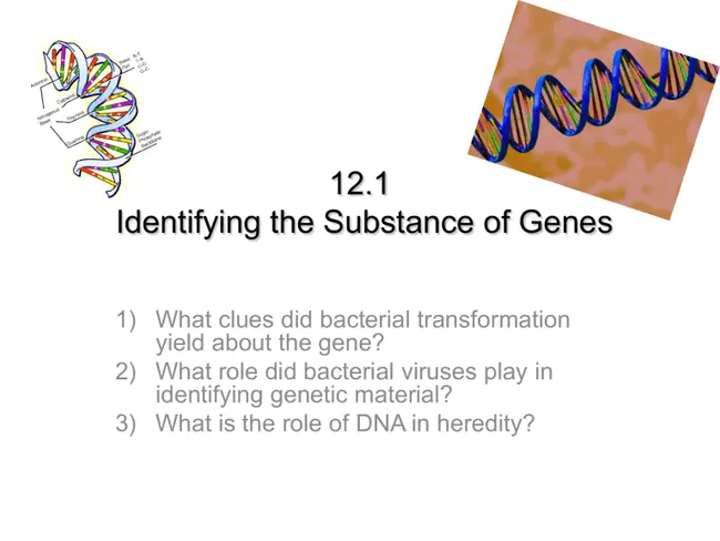 Group Of Organisms Giggling, Laughing, and Enjoying : 一群有机体咯咯笑着享受着