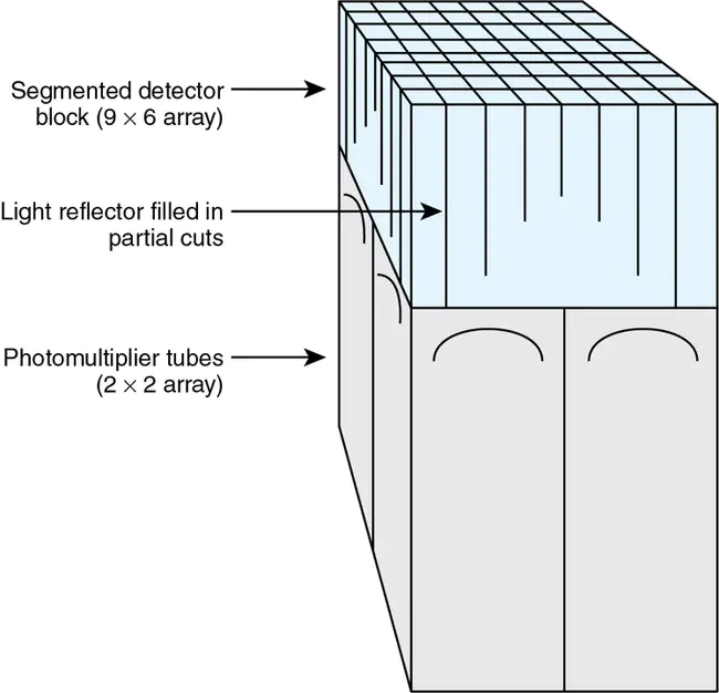 Positron Emission Mammography : 正电子发射乳腺X线摄影