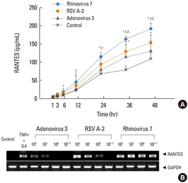 Restriction Endonuclease Analysis : 限制性内切酶分析