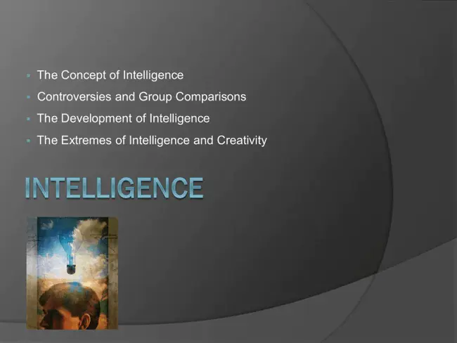 Intelligence Convergence Group : 情报融合组