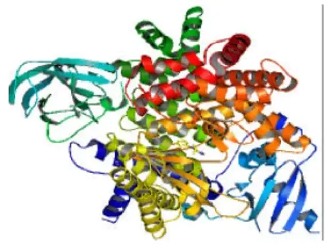 PhosphoInositide-3 Kinase : 磷酸肌醇 3 激酶