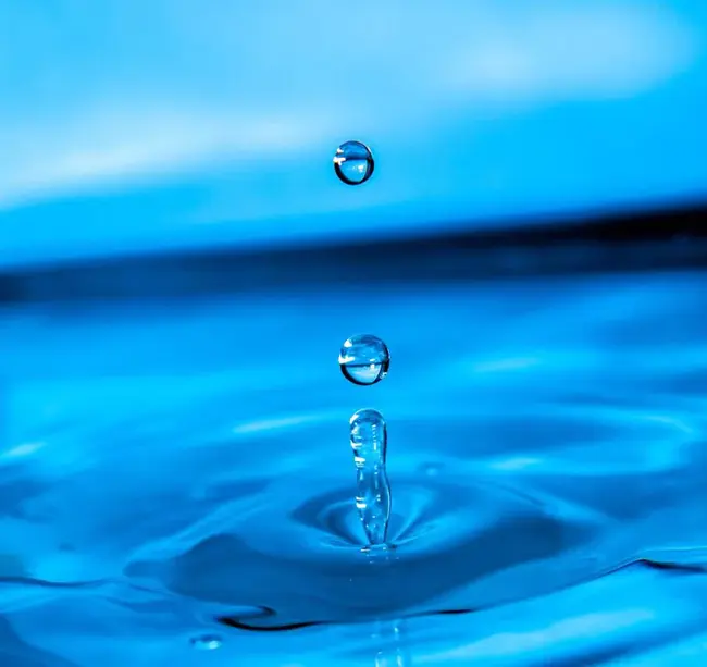 Water Soluable Phosphorous, Organic : 水溶性有机磷