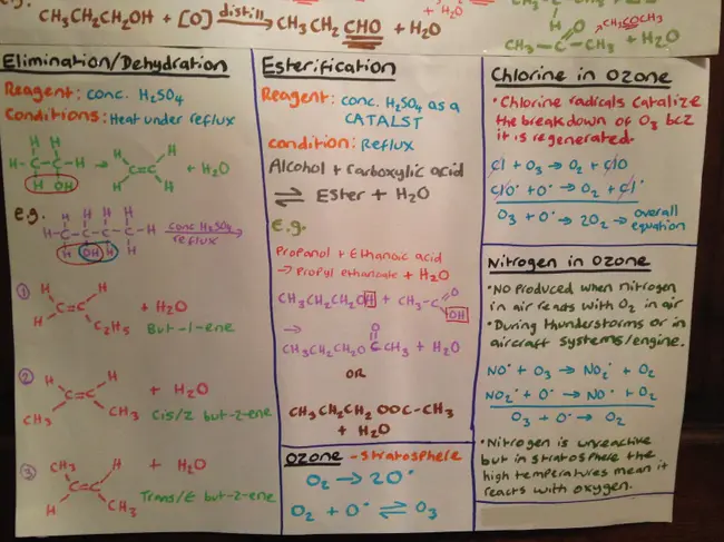 Mechanism Of Action : 作用机理