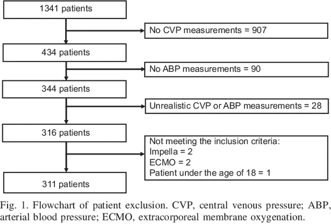 Mean Circulatory Pressure : 平均循环压