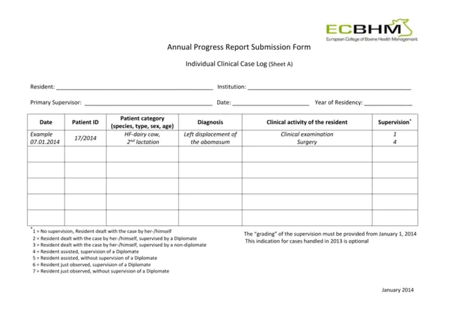 Word Document Template : Word文档模板