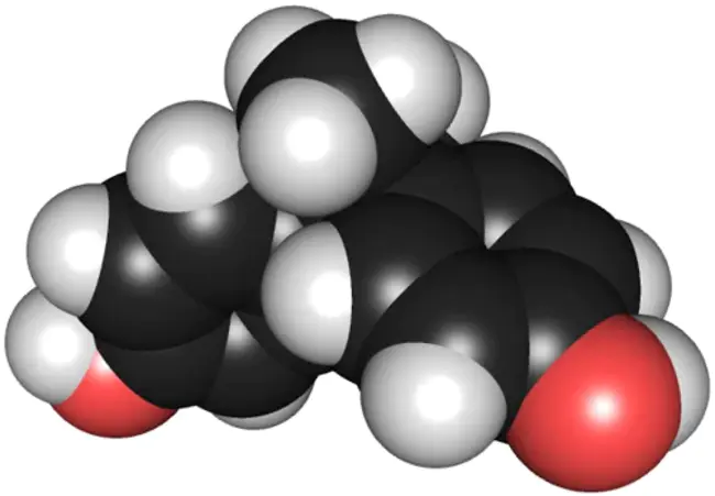 BisPhenol A : 双酚A