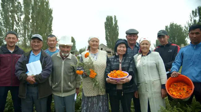 National Agricultural University of Ukraine : 乌克兰国立农业大学