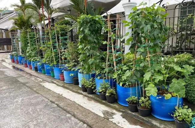 Outside Plant Prodcut : 厂外生产