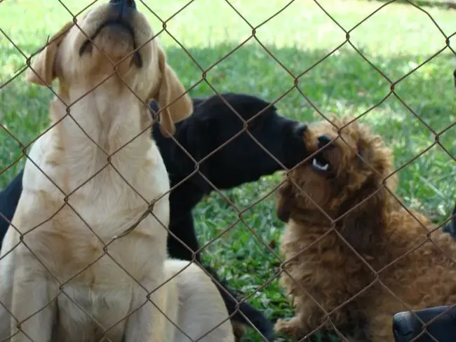 Best Friends Forever Love : 最好的朋友永远爱