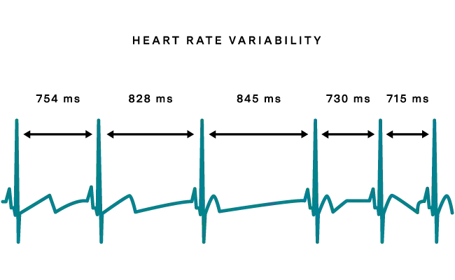 Pulse Rate Variability : 脉率变异性